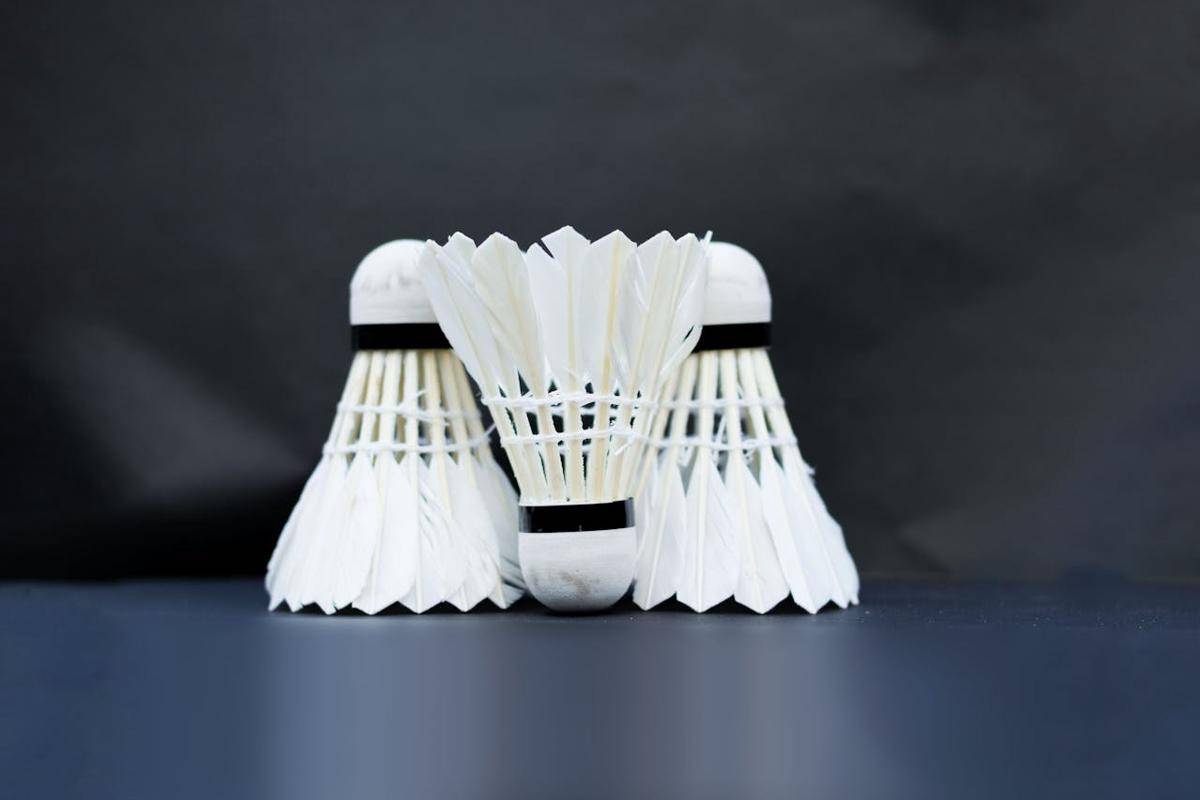 potret shuttlecock bulu tangkis