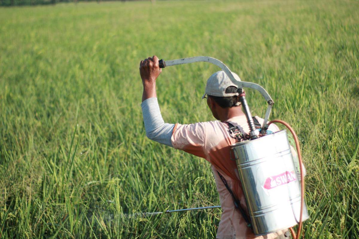 Alat pertanian hand sprayer. Pexel/Rosyid Arifin