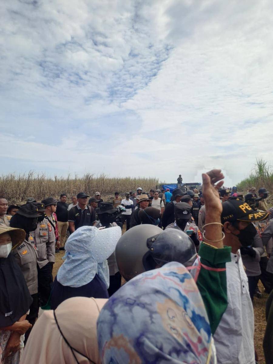 Situasi di kebun tebu Polongbangkeng, Takalar, Sulawesi Selatan, Minggu (24/8/2025). Dok. IDN Times/Istimewa
