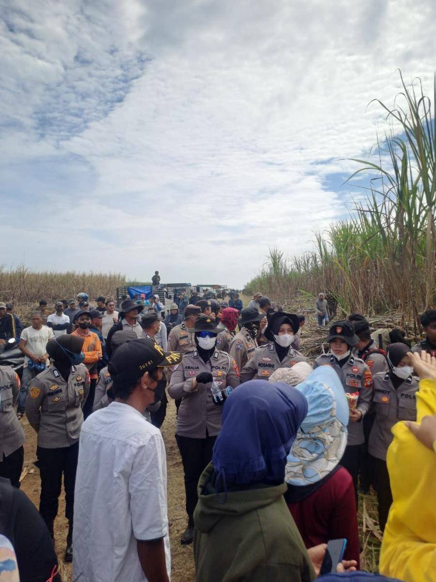 Situasi di kebun tebu Polongbangkeng, Takalar, Sulawesi Selatan, Minggu (24/8/2025). Dok. IDN Times/Istimewa