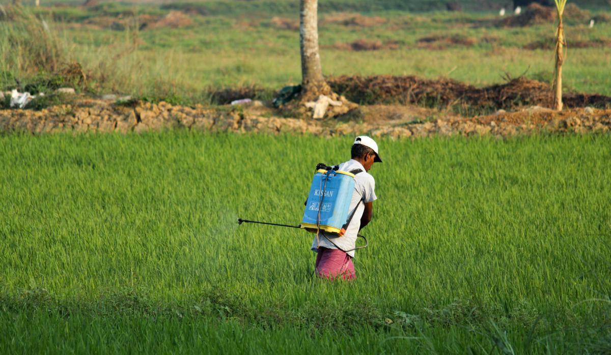 Alat pertanian hand sprayer. Pexels/Arjun MJ