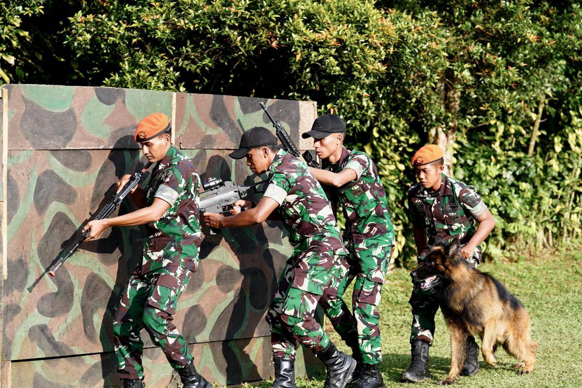 Pelatihan prajurit TNI sebagai K9 handler di Kennel Von Phanuel di Cisarua, Bogor. (Dokumentasi Puspen TNI)
