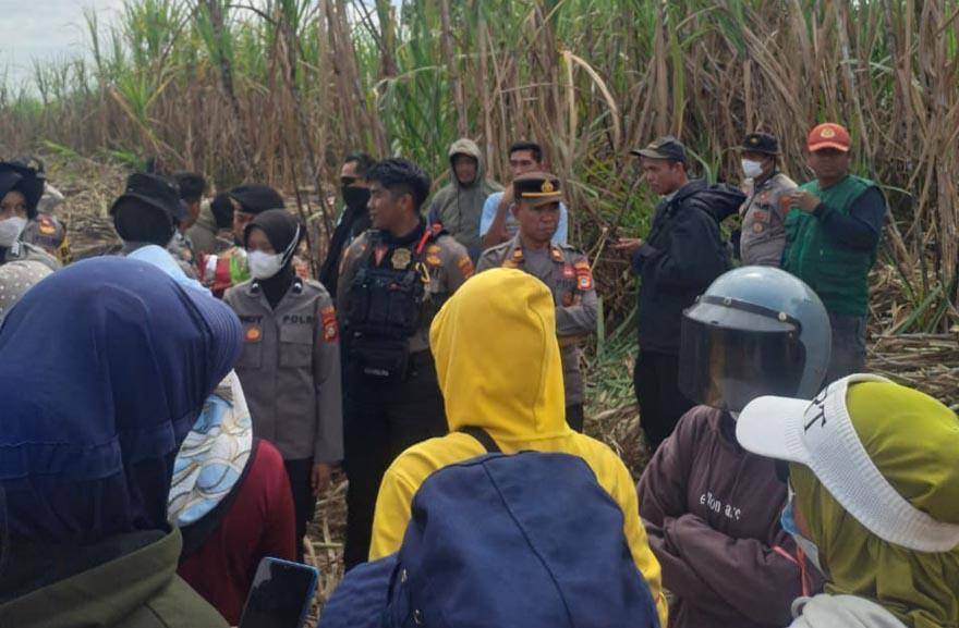 Situasi di kebun tebu Polongbangkeng, Takalar, Sulawesi Selatan, Minggu (24/8/2025). Dok. IDN Times/Istimewa