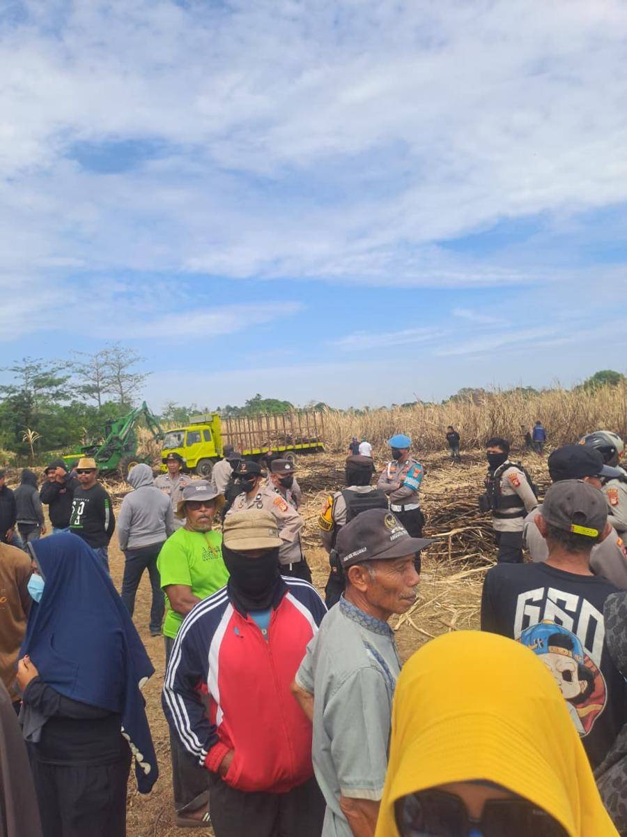 Situasi di kebun tebu Polongbangkeng, Takalar, Sulawesi Selatan, Minggu (24/8/2025). Dok. IDN Times/Istimewa