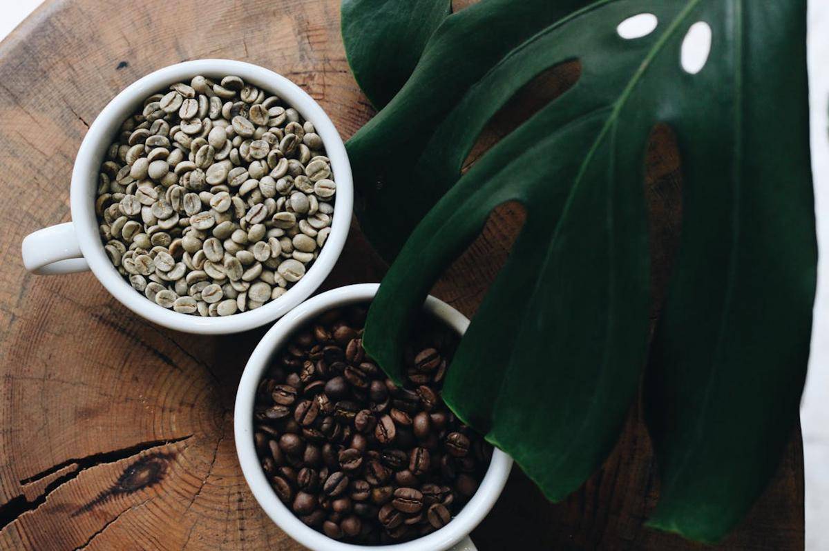 Potret green coffee dan kopi biasa