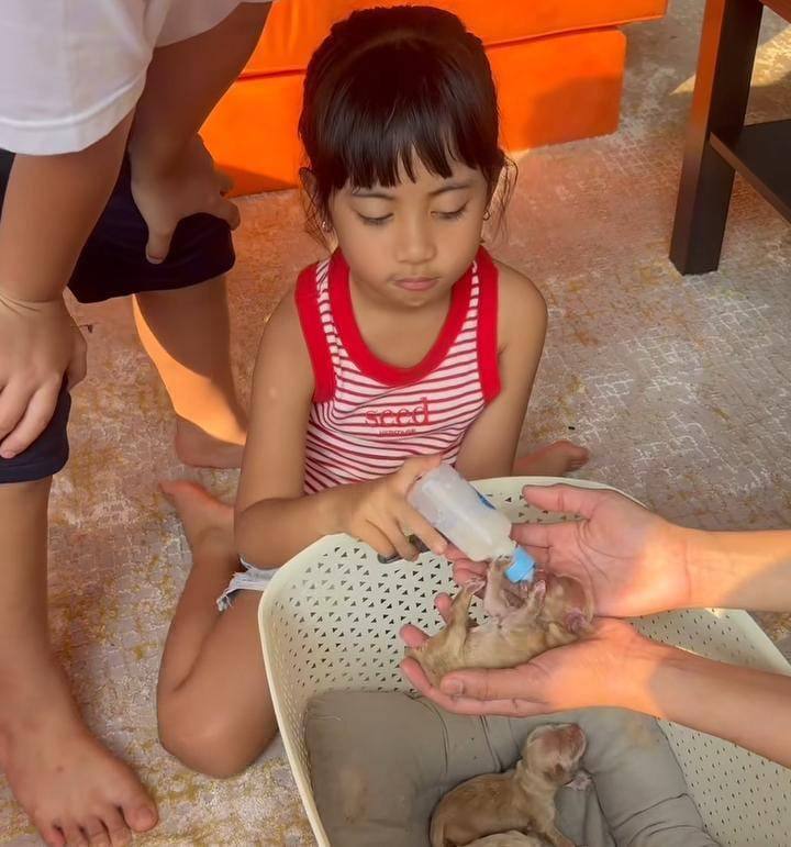 potret Rachel - Okin ajak Xabiru - Chava lihat Erika dan Andrew