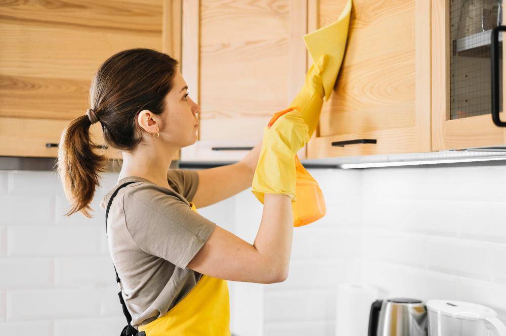 ilustrasi perempuan membersihkan kabinet dapur (freepik.com/freepik)