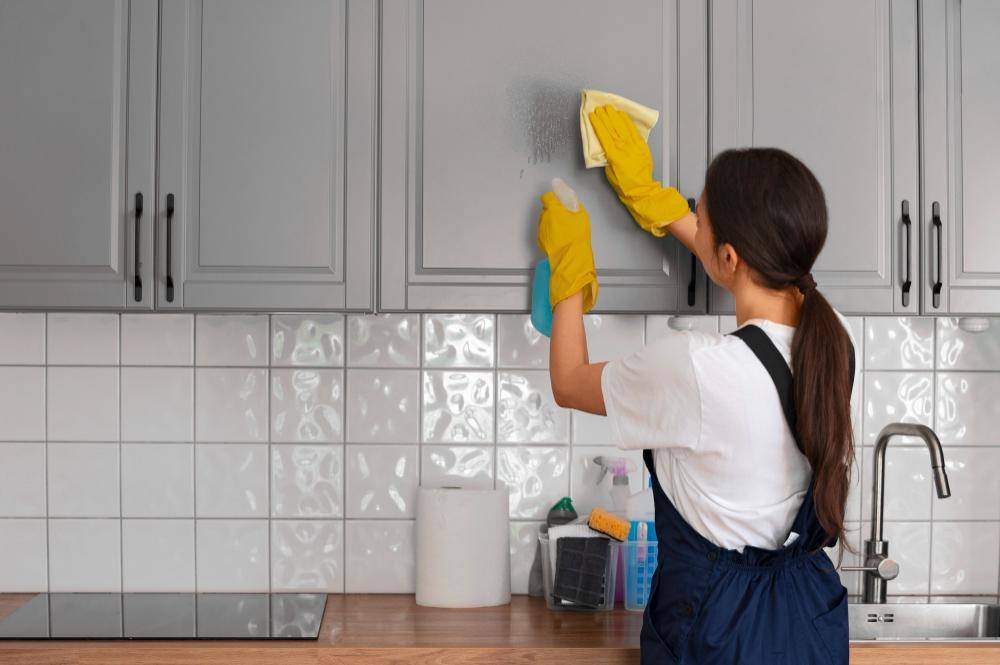 ilustrasi perempuan membersihkan kabinet dapur (freepik.com/freepik)