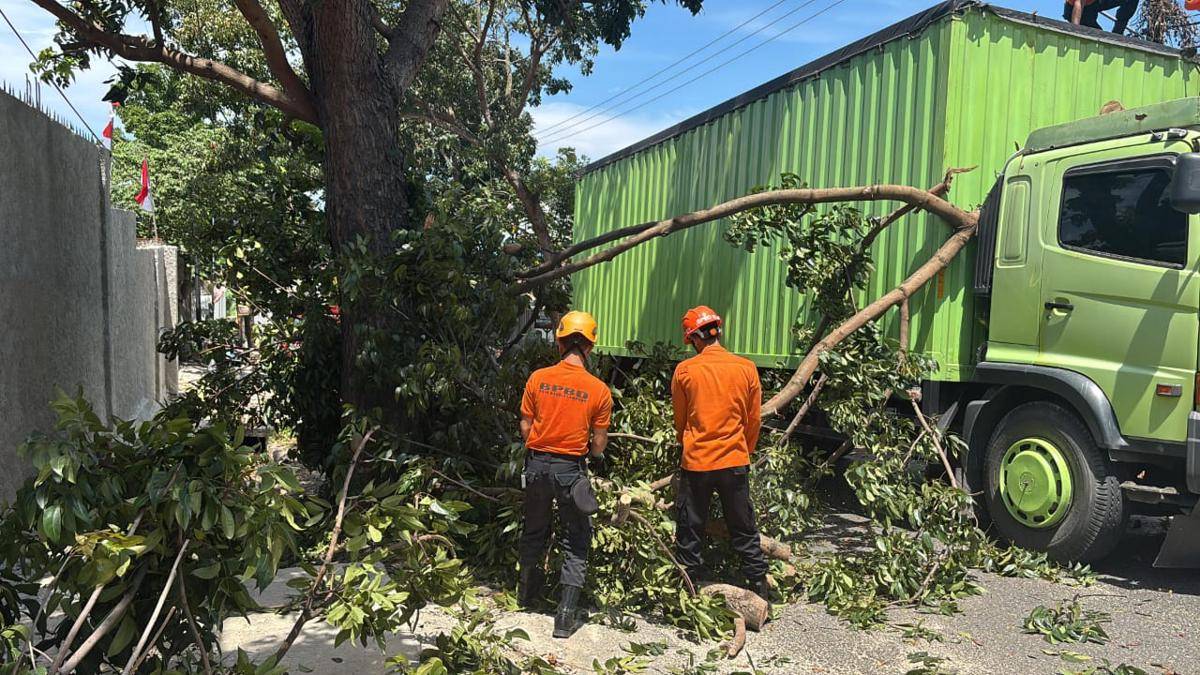 Truk yang tertimpah pohon di Bandar Lampung. (IDN Times/BPBD Bandar Lampung)