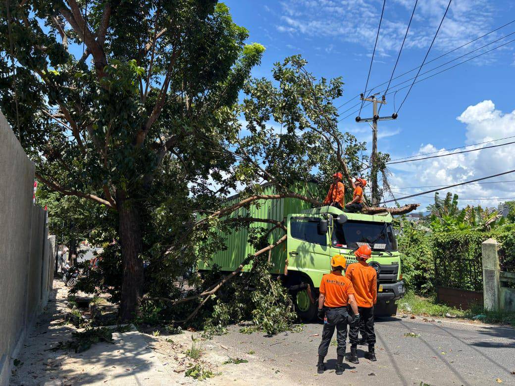 Mobil truk yang tertumpah pohon di Bandar Lampung. (IDN Times/BPBD Bandar Lampung)