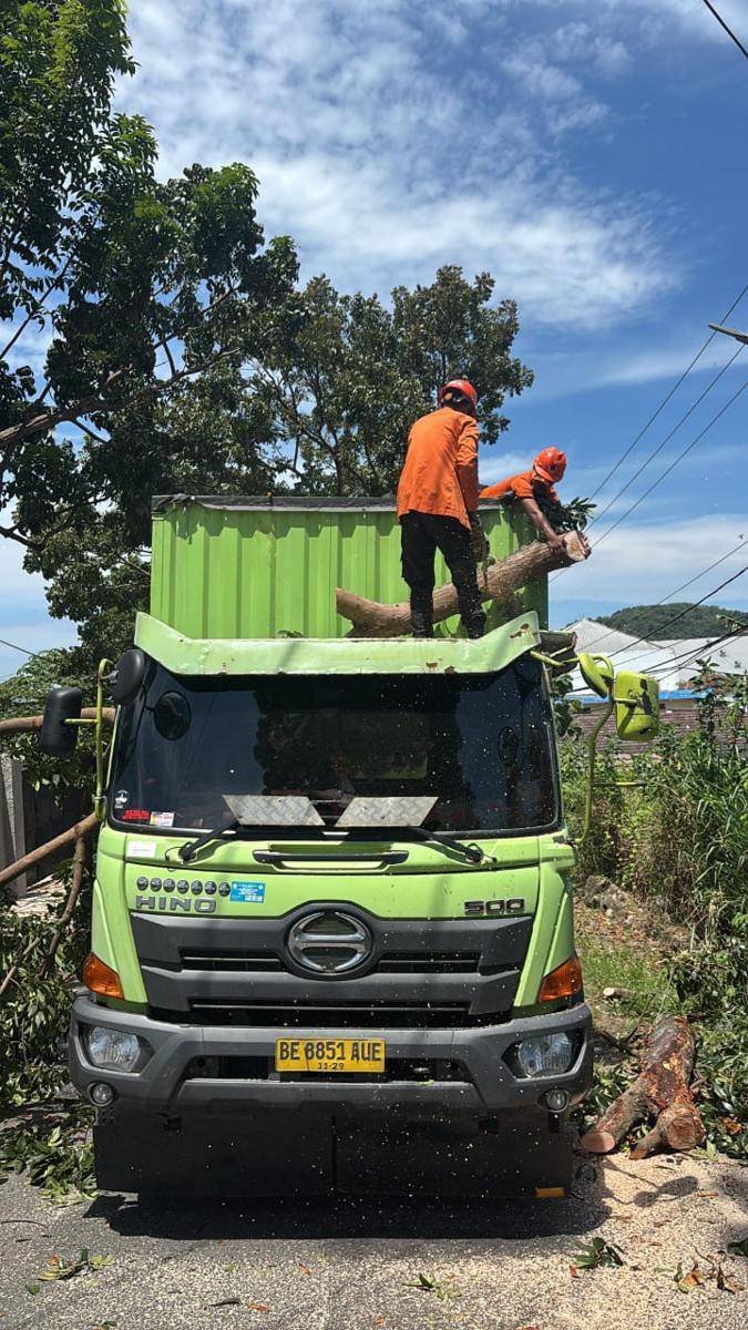 Truk yang tertimpah pohon di Bandar Lampung. (IDN Times/BPBD Bandar Lampung)
