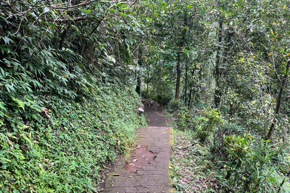jalan setapak menuju air terjun (dok.pribadi/Natalia Indah)