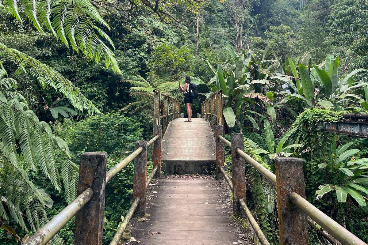 pemandangan alami selama trekking ke air terjun (dok.pribadi/Natalia Indah)
