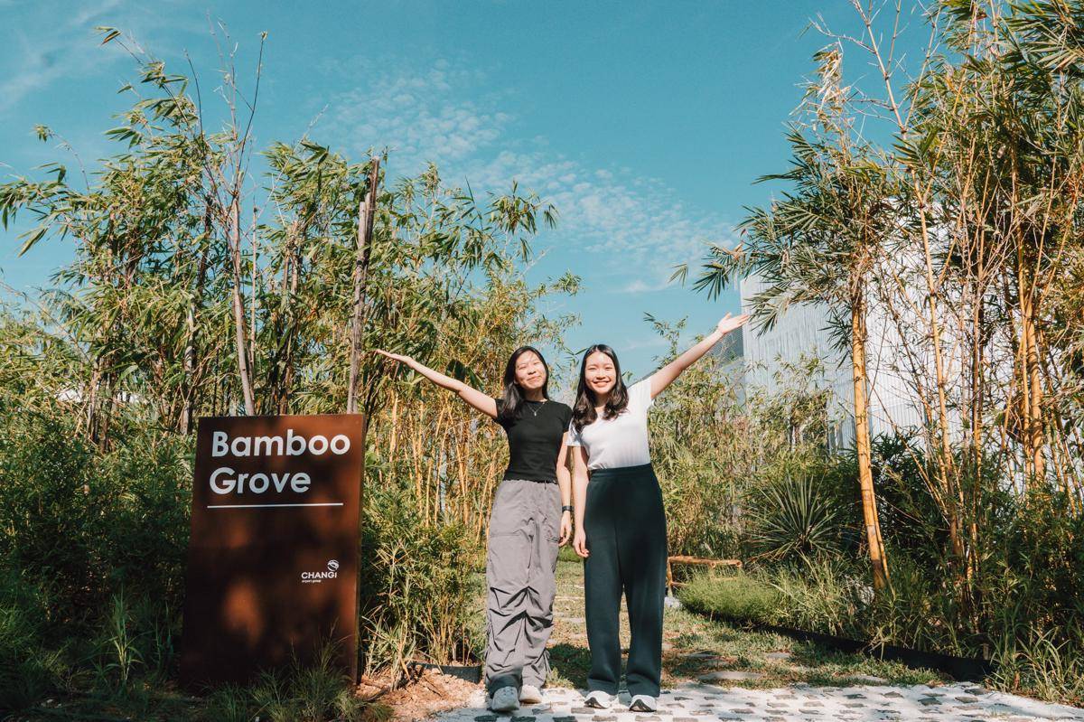 Potret Bamboo Groove di Bandara Internasional Changi Singapura