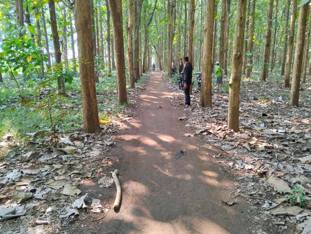 Lokasi pembegalan perempuan muda di Blitar. IDN Times/ istimewa