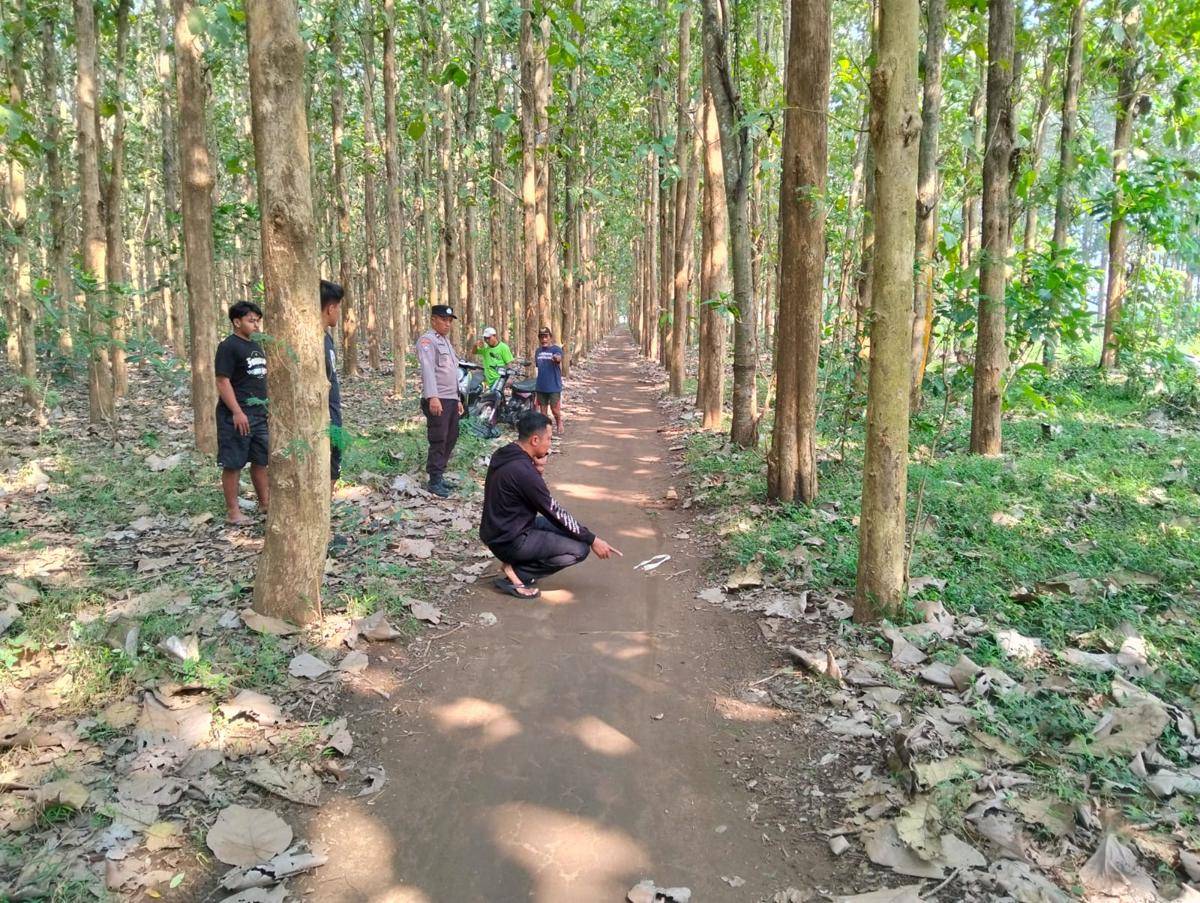 Lokasi pembegalan perempuan muda di Blitar. IDN Times/ istimewa