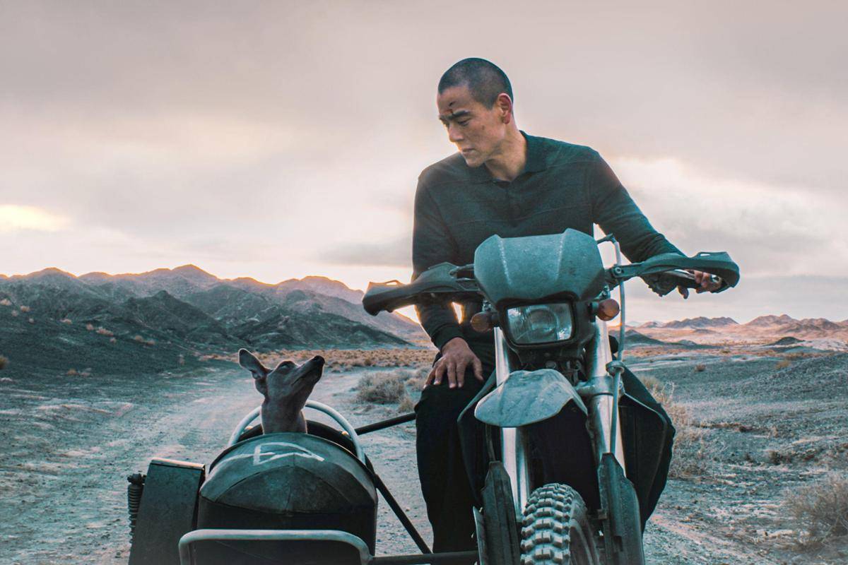 adegan dalam film Black Dog