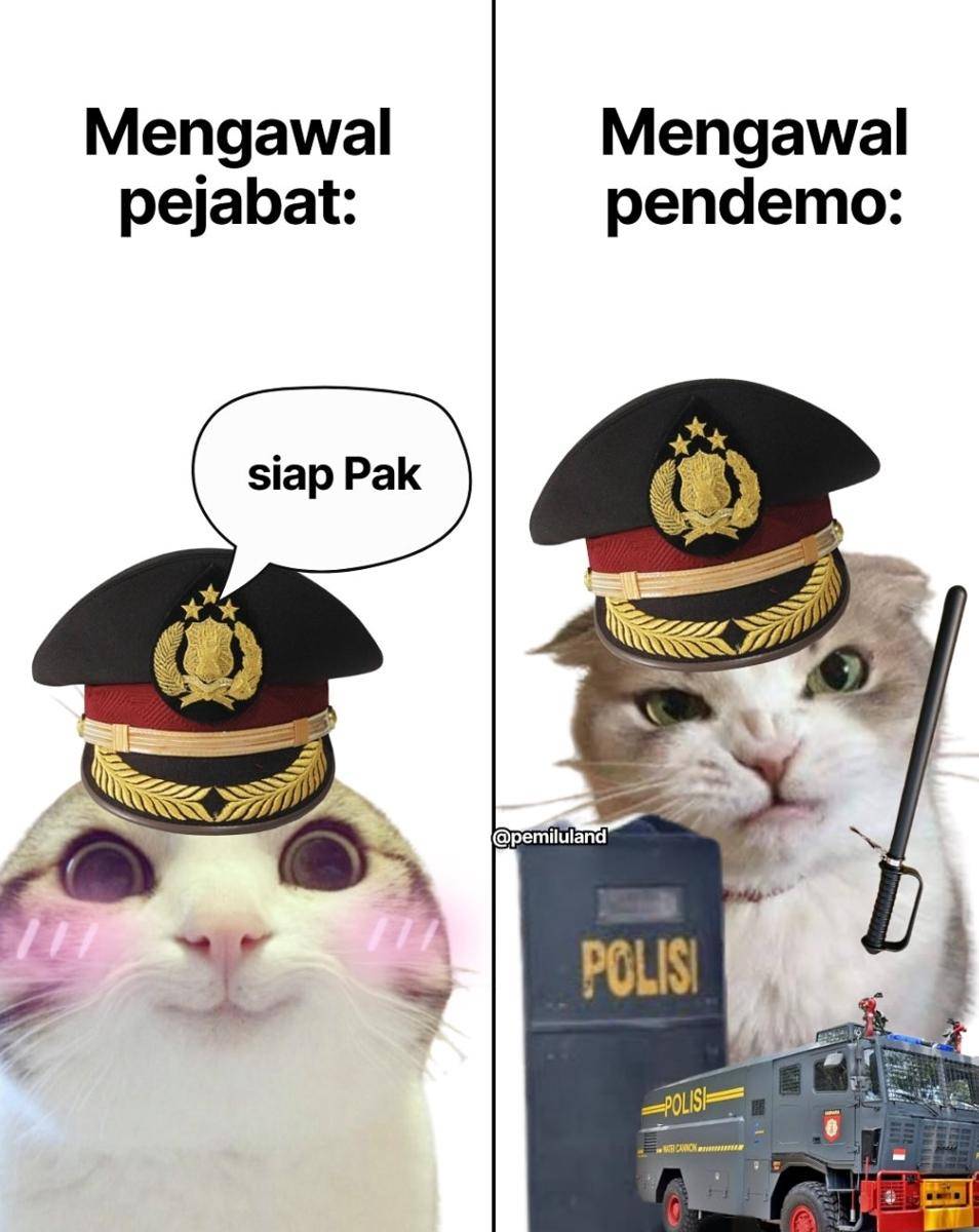 meme demo