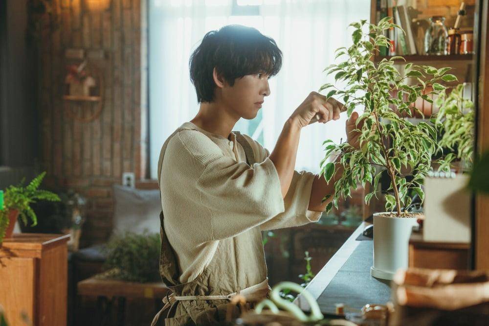 Cuplikan drakor My Youth (dok. JTBC/My Youth)