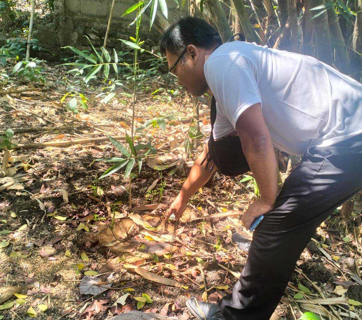 Penyidik olah TKP pencurian pohon Sonokeling di Sedayu Bantul.(Dok. Humas Polres Bantul)