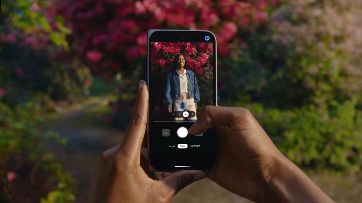 ilustrasi Camera Coach di Pixel 10