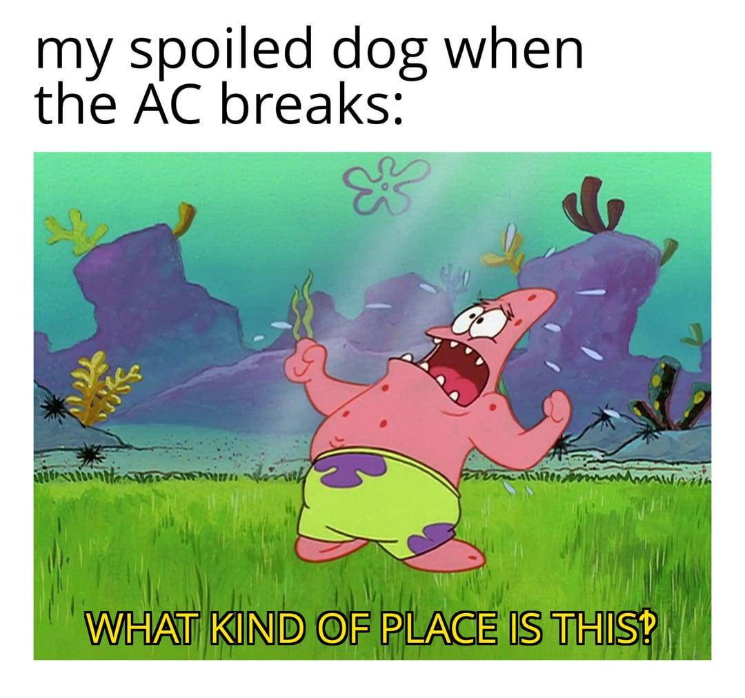 meme SpongeBob tentang AC 