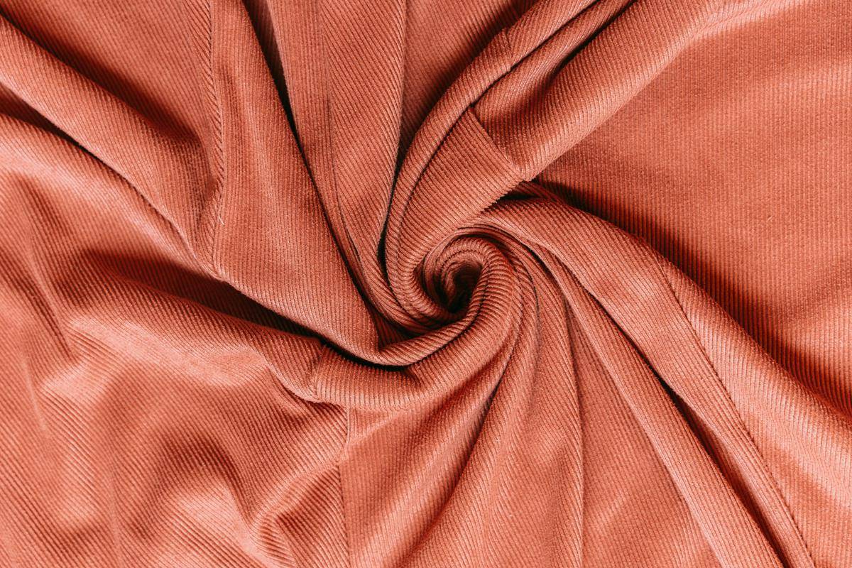 ilustrasi corduroy (pexels.com/Antoni Shkraba Studio)