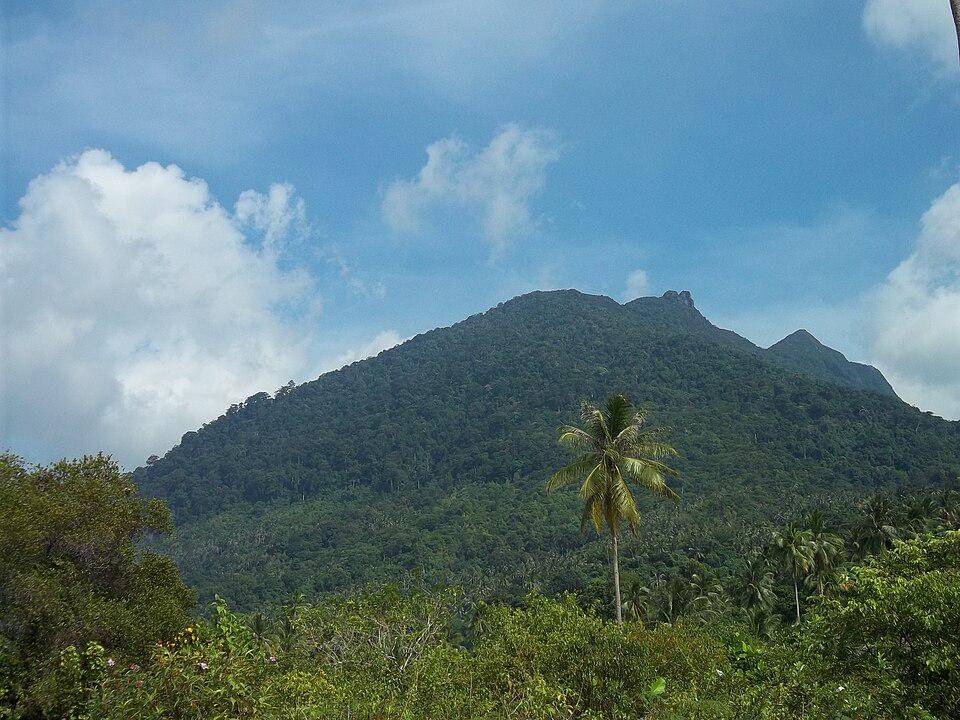 Gunung Ranai yang ada di Pulau Bunguran merupakan salah satu pusat populasi kekah natuna. 