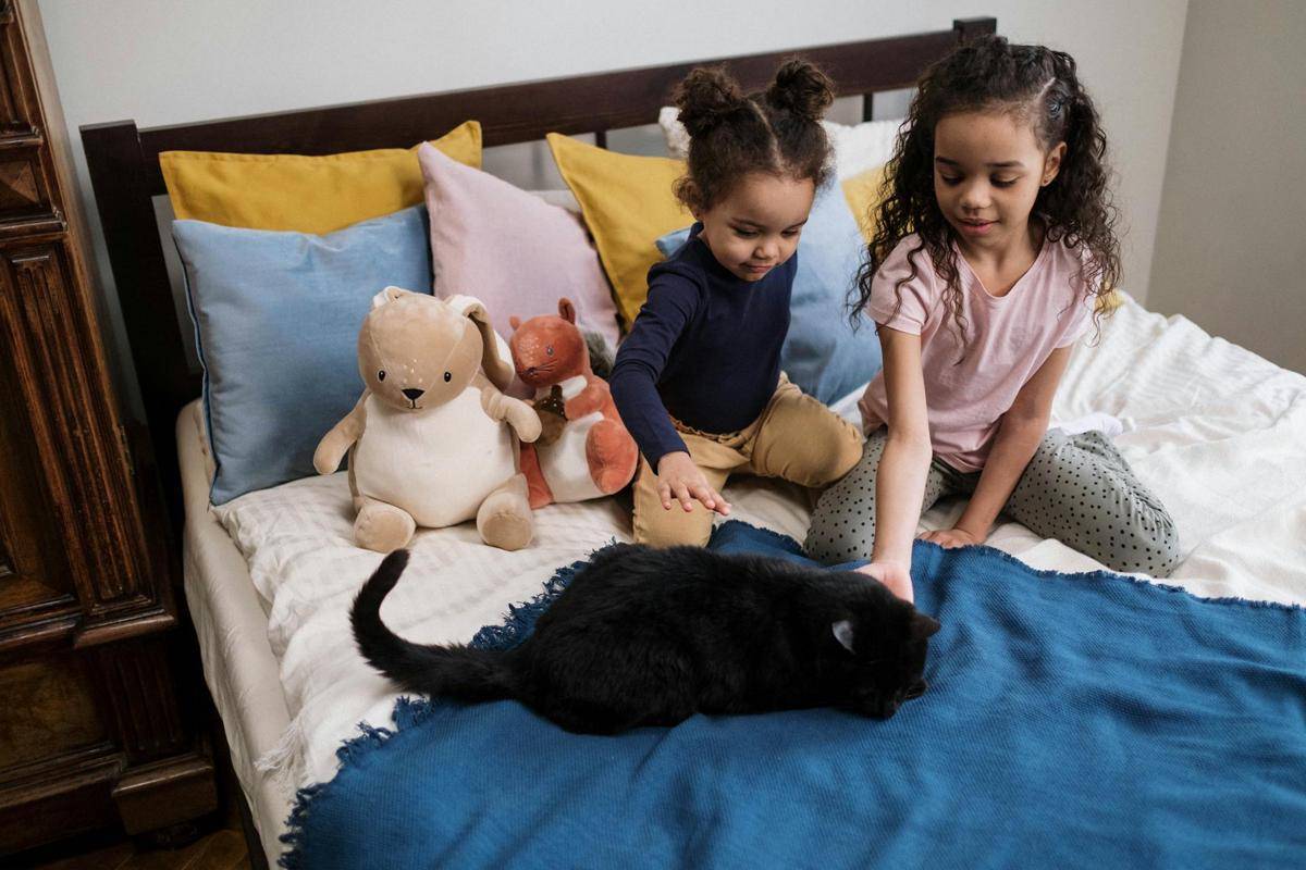 ilustrasi anak bermain dengan kucing (pexels.com/cottonbro studio)
