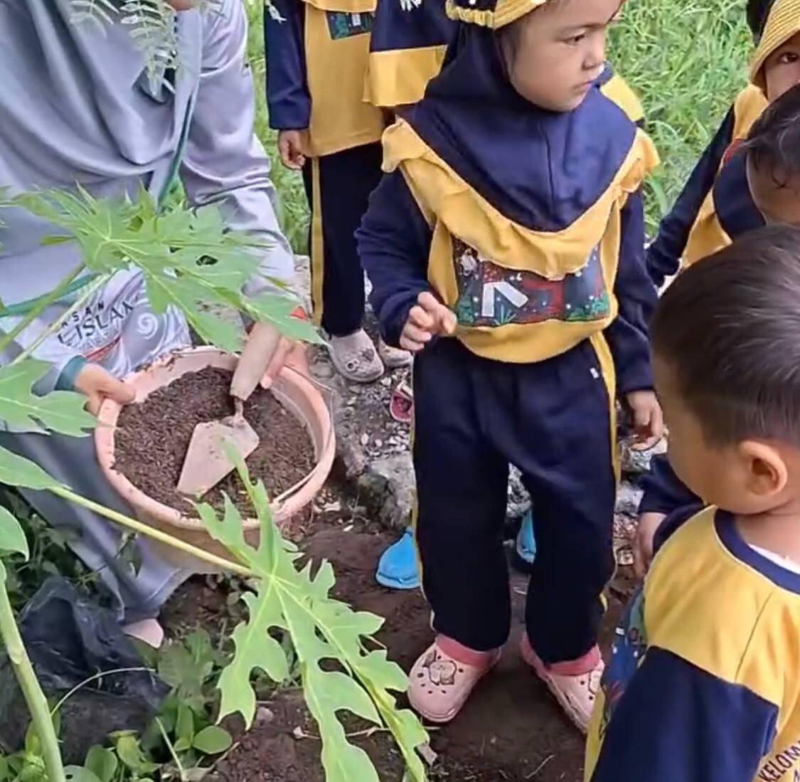 Biaya KB-TK IT Nurul Islam, Dekat dengan Alam! (Instagram.com/tpakbtkitnurulislam)