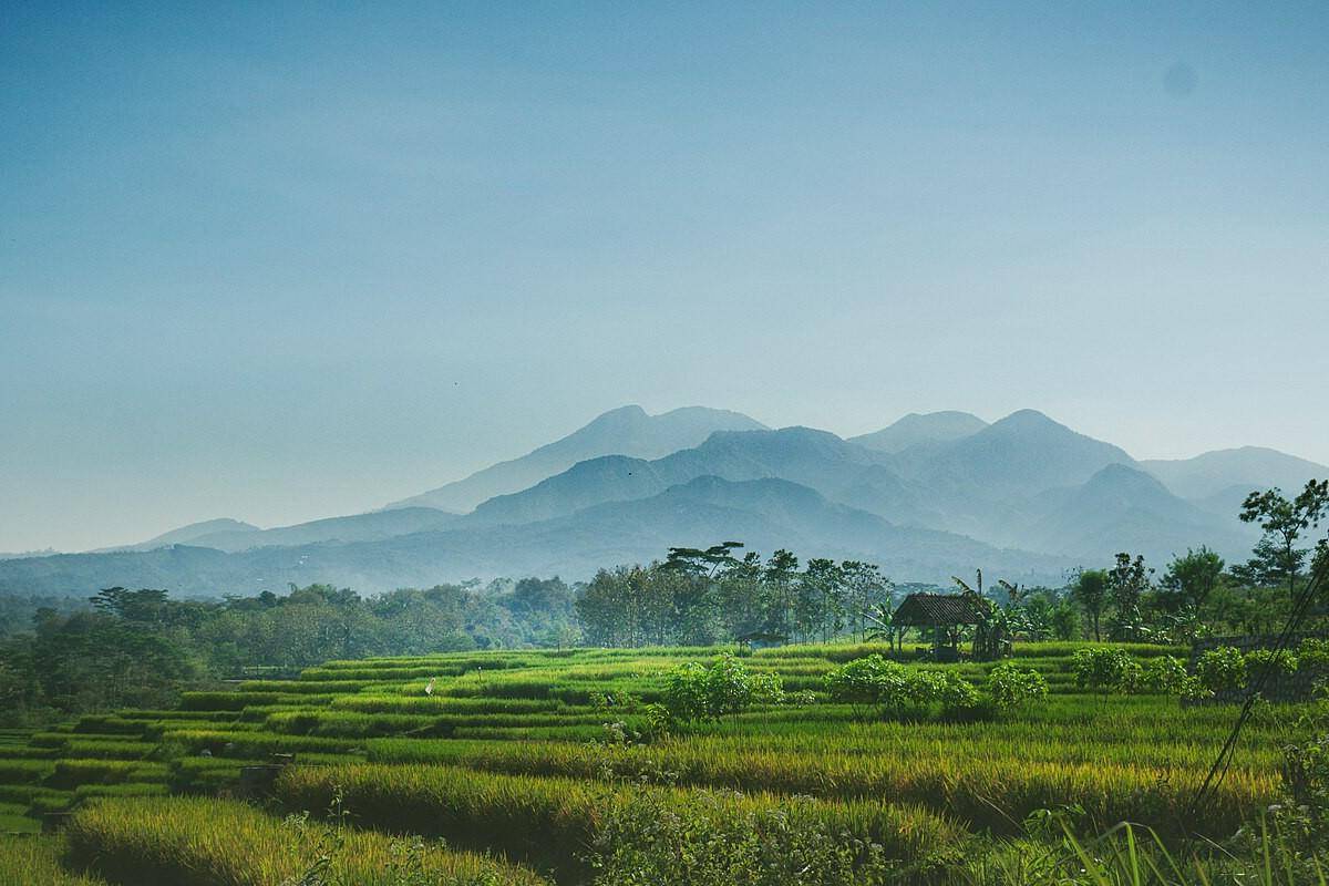 potret persawahan berlatar pegunungan di Wonogiri (commons.wikimedia.org/Theo_kraton)
