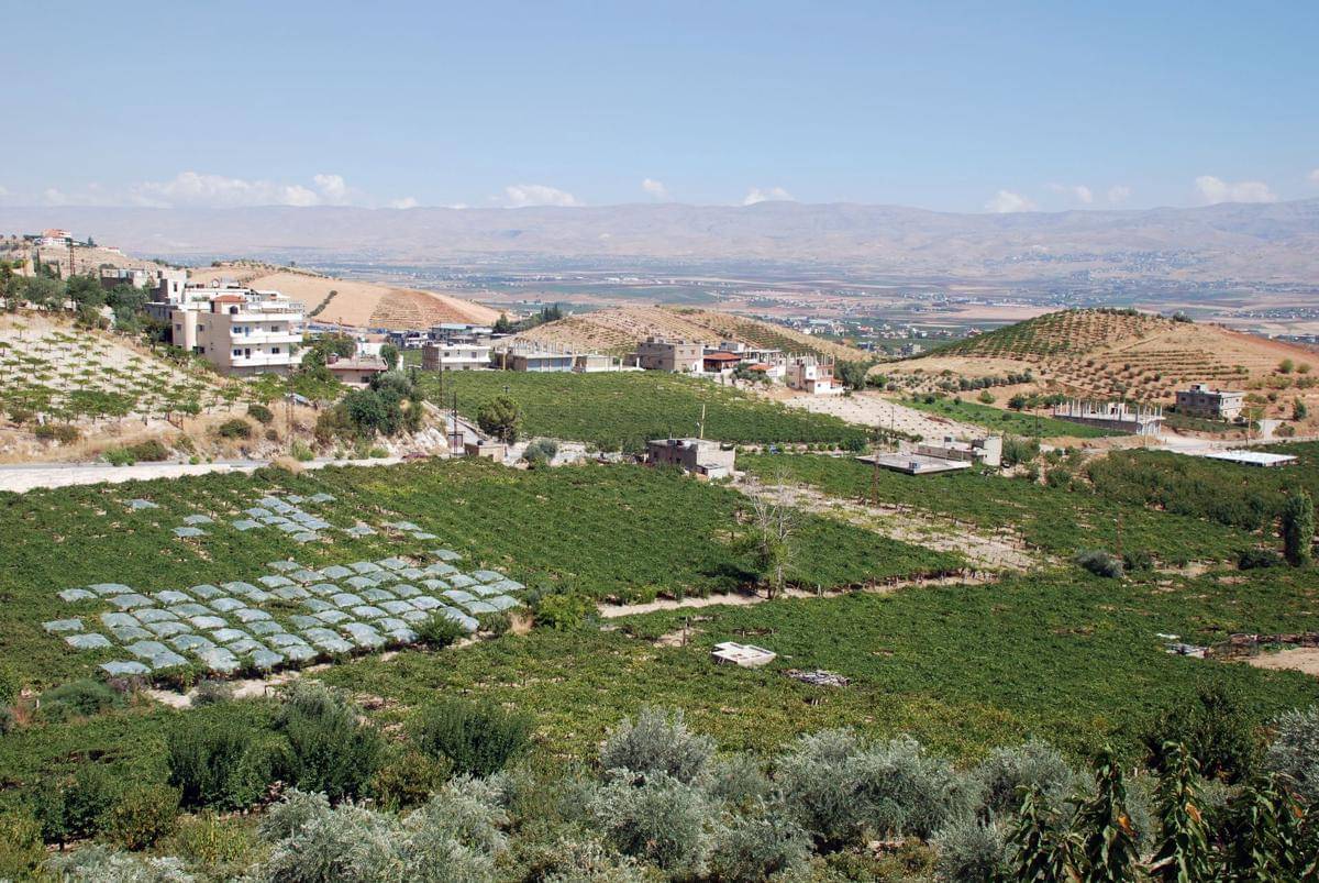 potret Lembah Bekaa, sebuah wilayah yang terkenal sangat subur di Lebanon (commons.wikimedia.org/Bertramz)