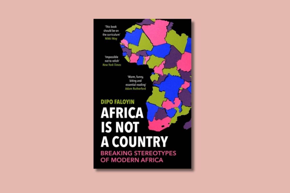 Africa is Not a Country karya Faloyin Dipo