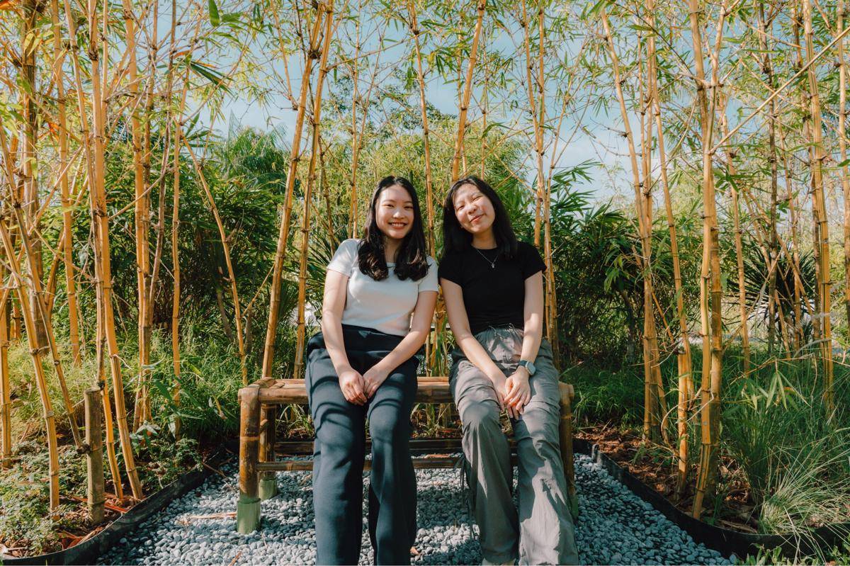 Potret Bamboo Groove di Bandara Internasional Changi Singapura