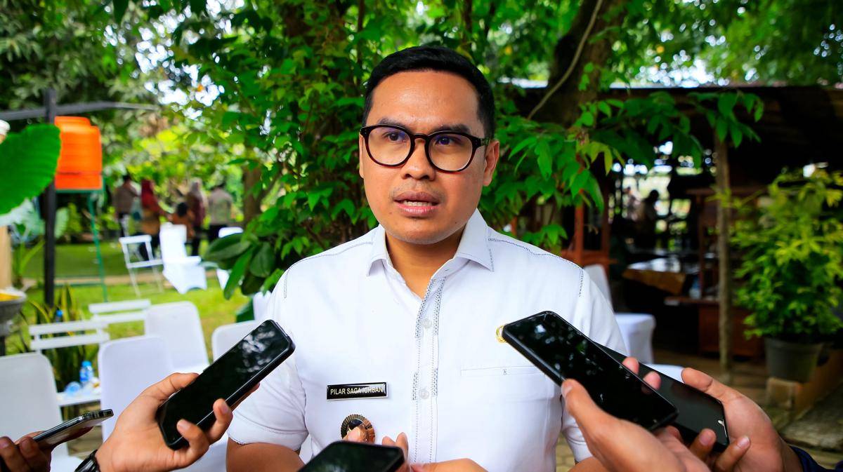 Wakil Wali Kota Tangsel, Pilar Saga Ichsan