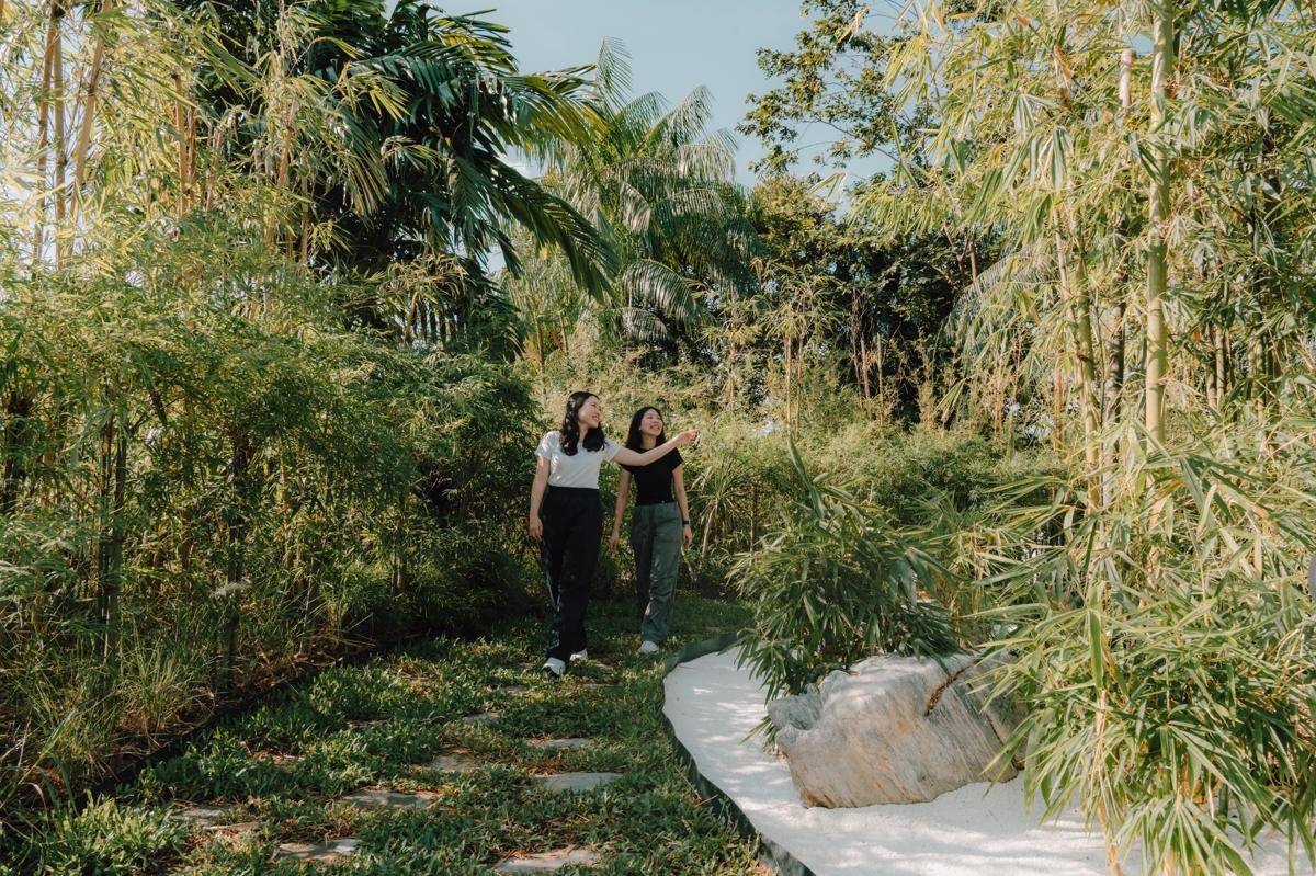 Potret Bamboo Groove di Bandara Internasional Changi Singapura