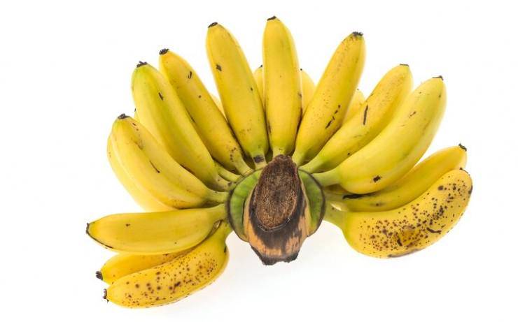Ilustrasi pisang