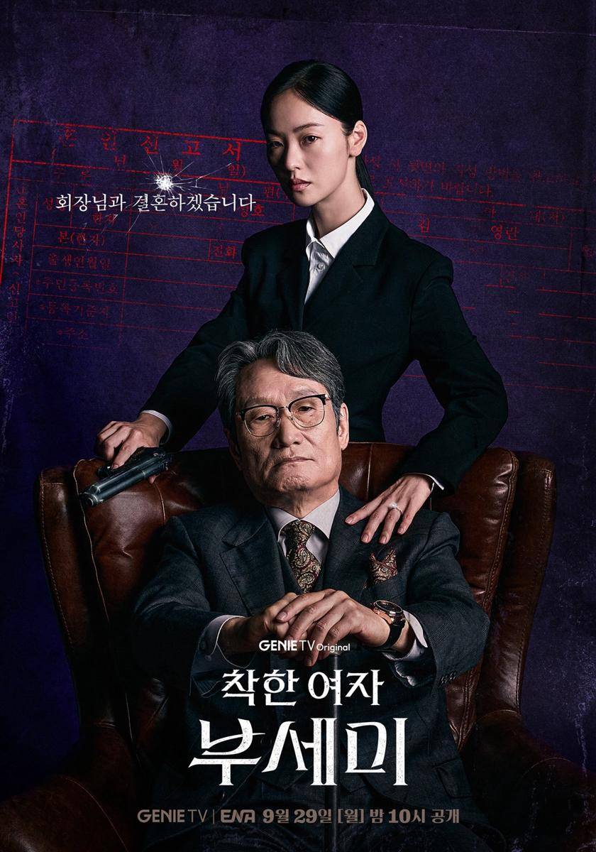 Poster Ms. Incognito