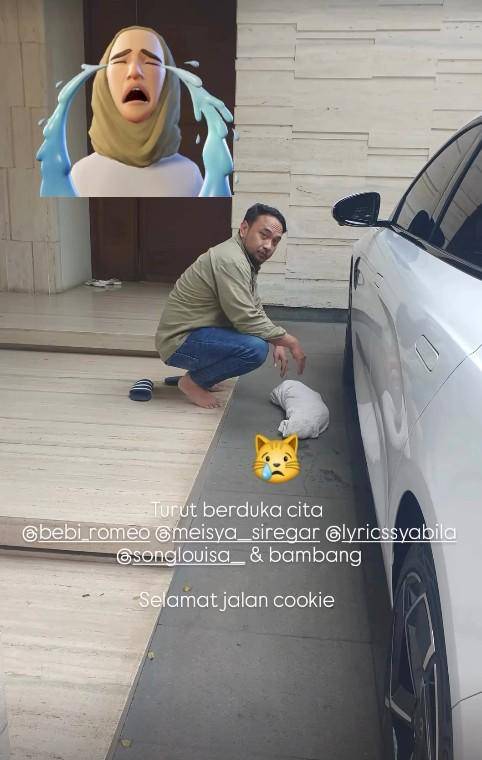 Kenangan Meisya Siregar dengan Kucingnya (Instagram.com/meisya_siregar)