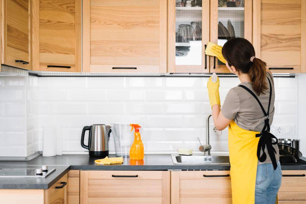 ilustrasi wanita membersihkan kabinet dapur (freepik.com)