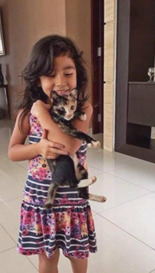 Kenangan Meisya Siregar dengan Kucingnya (Instagram.com/meisya_siregar)