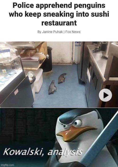 meme kocak sushi