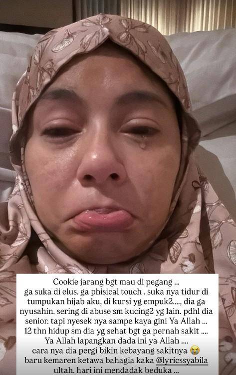 Kenangan Meisya Siregar dengan Kucingnya (Instagram.com/meisya_siregar)