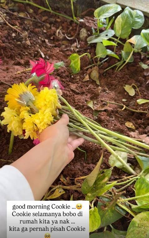 Kenangan Meisya Siregar dengan Kucingnya (Instagram.com/meisya_siregar)