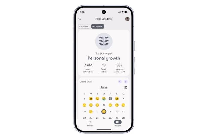 fitur Pixel Journal di Pixel 10