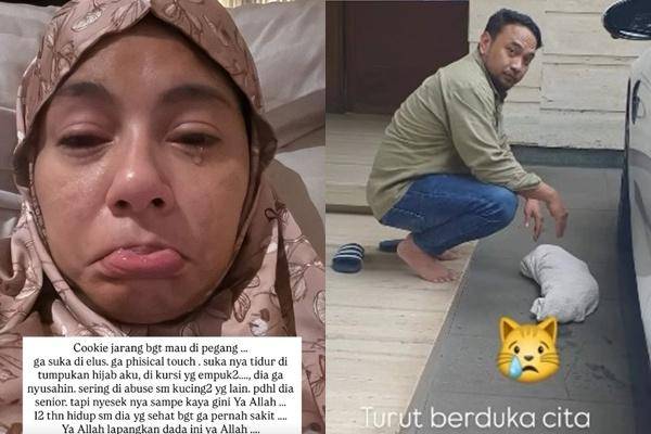 Kenangan Meisya Siregar dengan Kucingnya (Instagram.com/meisya_siregar)