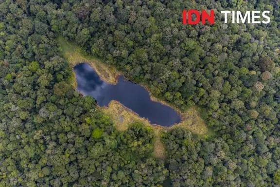 Aerial photo of Saba Godang Lake, Batang Gadis National Park, Mandailingnatal. Image by Mirza Baihaqie/IDN Times