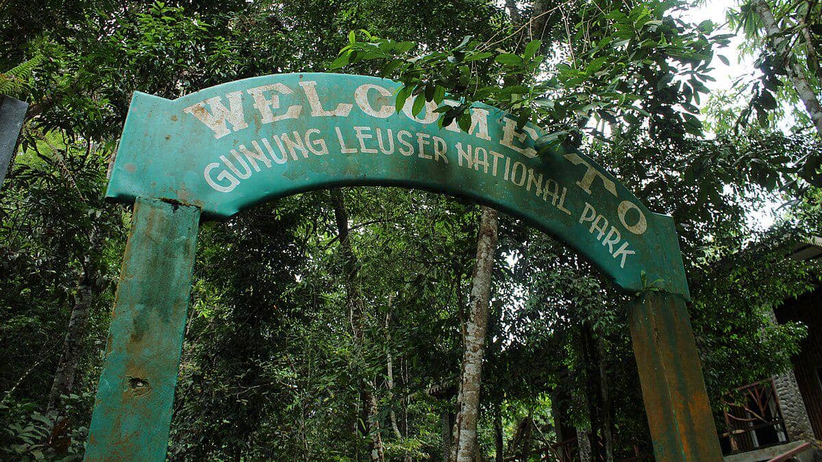 Potret gunung Leuser, Aceh