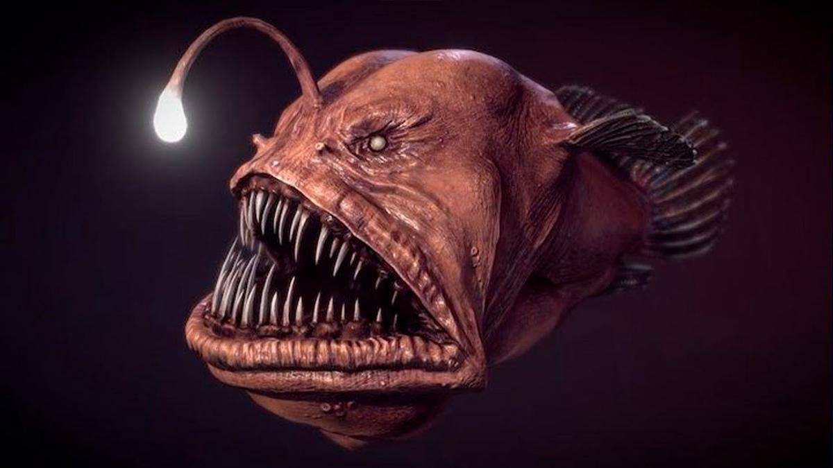 ilustrasi anglerfish