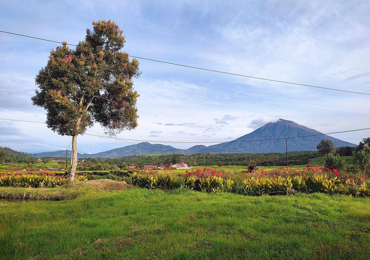 ilustrasi Gunung Kerinci 